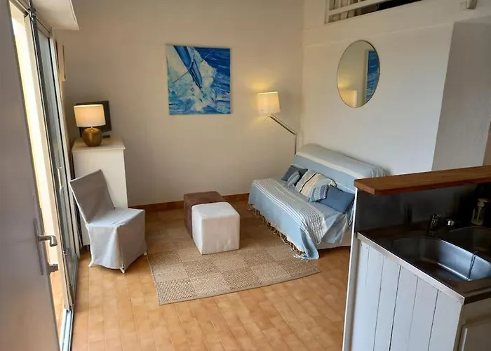 Appartamento Les Terrasses De La 268 , T2 Climatisé, Vue Mer, Parking, Terrasse Agde